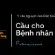 Cầu nguyện cho các bệnh nhân nan y