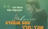 Kinh cầu nguyện - Cho việc chăm sóc thụ tạo