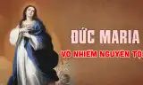 Sơ lược về tín điều Đức Maria Vô Nhiễm Nguyên Tội