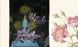 Xin Mẹ luôn đồng hành