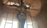 TRONG ÁNH NHÌN CỦA ĐỨC KITÔ