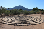 az-ofm-labyrinth-by-casaorg-1778403402.png