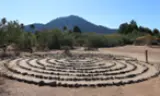 BƯỚC ĐI VÀO TRUNG TÂM: Một suy tư Phan Sinh về Labyrinth