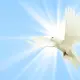 Anh em hãy nhận lấy Thánh Thần