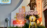 Hành hương Năm thánh 13/5/2026