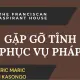 Gặp gỡ anh Tỉnh Phục vụ Pháp