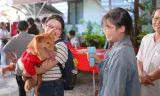 Chúc lành cho vật nuôi - 2025