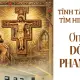 Tĩnh tâm tìm hiểu Ơn gọi Phanxicô