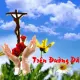 Mầu nhiệm Tình yêu tuyển chọn