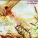 Dụ ngôn Người Gieo Giống