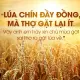 Lòng trắc ẩn và sứ vụ