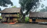 Một sớm mai ở đại ngàn