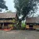Một sớm mai ở đại ngàn