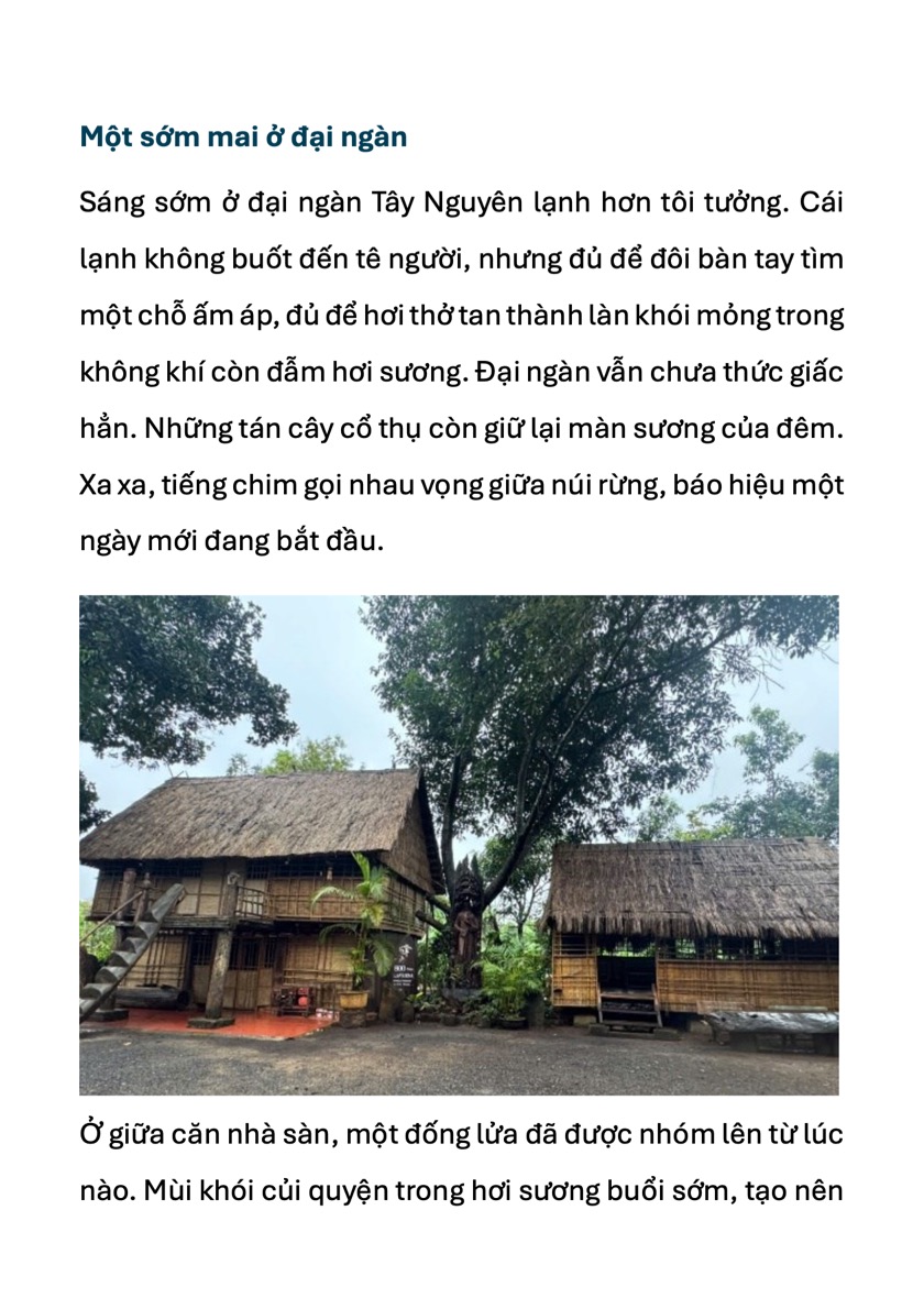 mot-som-mai-o-dai-ngan-1-1786106332.jpeg