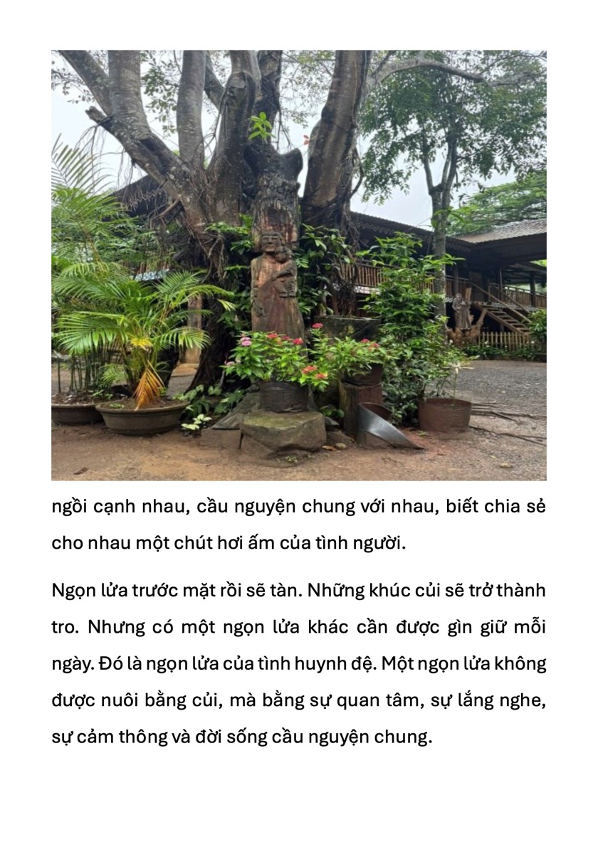 mot-som-mai-o-dai-ngan-4-1786106332.jpeg