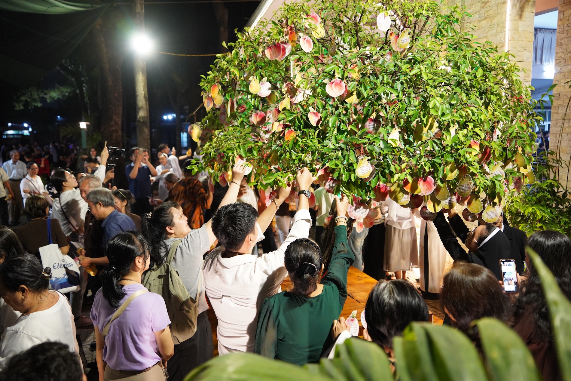 dsc05225-1788315739.JPG