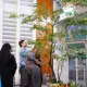365 Ngày Cầu nguyện sinh thái | Ngày 15