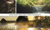 Mùa Thụ Tạo 2026 - Từ ngày 1 tháng 9 đến ngày 4 tháng 10: Nước Hằng Sống