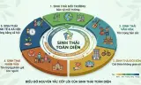Sinh thái toàn diện trong đời sống gia đình