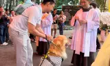 365 Ngày Cầu nguyện sinh thái | Ngày 50