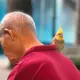 365 Ngày Cầu nguyện sinh thái | Ngày 53